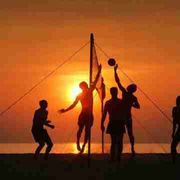 Gardenia Plaza Hotel and Resort Others