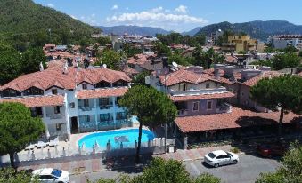 a view of a city with buildings , trees , and a pool in the foreground , while mountains are visible in the background at Arya Otel