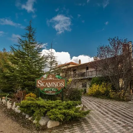 Boutique Hotel Skamnos Arachova