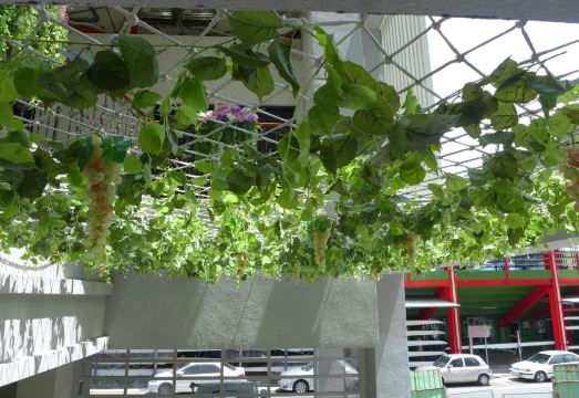 안핑 켄싱턴 호텔 위치