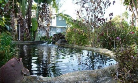 Rainbow Plantation B&B - Housity