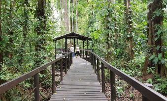 Ciudad Perdida EcoLodge