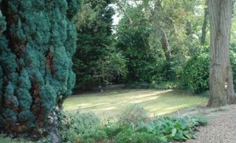 a lush green garden with tall trees and a well - maintained lawn , surrounded by various plants and bushes at Greenhollow