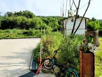 Yongin Recreational Forest House Pension (8 Minutes to Everland, Valley) Hotels near Hankuk University of Foreign Studies Global Campus