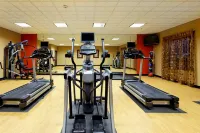 Holiday Inn Express & Suites ODESSA by IHG - Gym