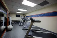 Hampton Inn Salem East-Electric Road - Gym