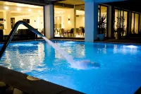 Lescure Business Hôtel and spa - piscina