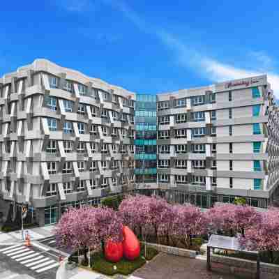 Sokcho Marina Bay Hotel Hotel Exterior