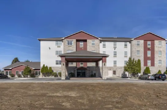 Comfort Inn & Suites Hotels in 