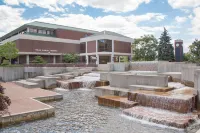 Super 8 by Wyndham Sheboygan WI Hotels in Sheboygan Falls