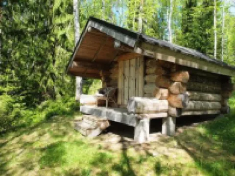 Koivukallio
