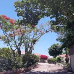 Domaine des Tourterelles