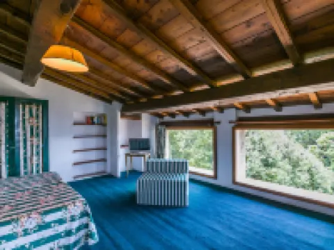 Podere Cima a Zano / Apt.Fienile Pca107