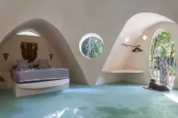 Unique Jungle Dome 2 Queen Beds