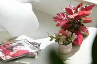 Shanhai Jihaijing Homestay (Qingdao Badaguan Branch)