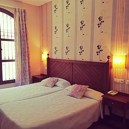 Hotel Rosaleda Don Pedro Отели в г. Убеда
