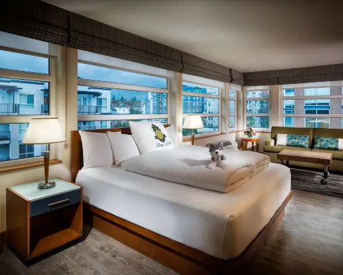 Staypineapple, Watertown Hotel, University District Seattle Hotels near Wallingford