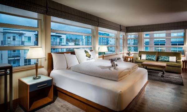Staypineapple, Watertown Hotel, University District Seattle