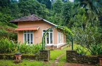 After the Rains - Rainforest Lodge Hotels in Wayanad