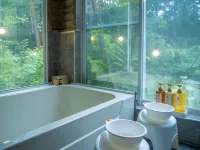 Bungalow Standing in the Forest