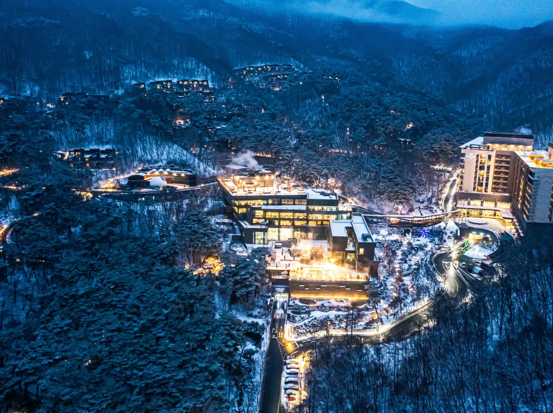 Restree And Forest Resom - Chungju-si