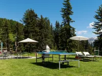 Sportina 12 1. OG Süd Hotels in Riederalp