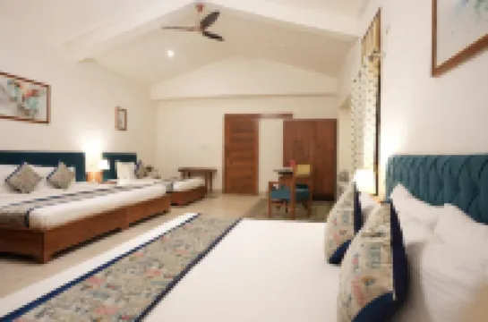 Astroport Sariska Treetop by Eight Continents