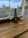 Two 1/1 Private Villas with Tropical Pool and Bar, Canal View