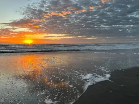 Waterfront-Heated Pool-Hottub-4bd-2BA-Paddle boat- Kayaks Отели рядом с достопримечательностью «Коко-Бич»