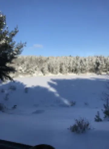 Peaceful retreat, close to orv trails .