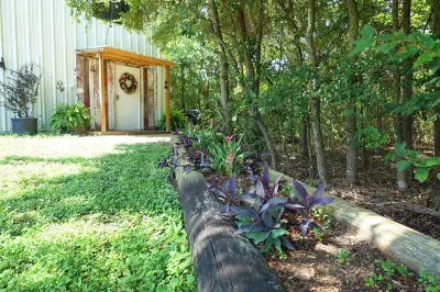 Country Comfort Apartment 8 miles from Round Top