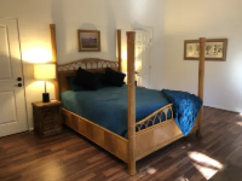 Serene, ideally-located studio near El Paseo and Concert grounds