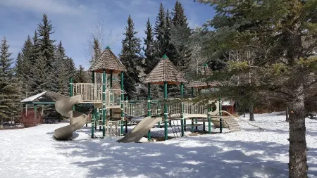 Completely Remodeled Ski-In Ski-Out Beaver Creek Family Escape