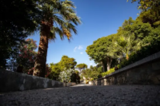 Villa Fontana with Private Pool and Ancient Botanical Park