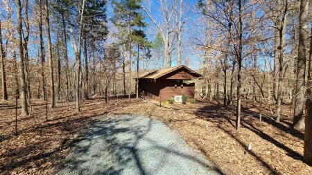 Cabin amongst the trees