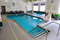 Hilton Garden Inn Rochester Downtown - مسبح