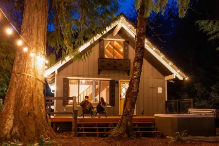 Fern Grove Cabin - Riverfront, Mountain views, Hot tub, Fire pit, Pet-friendly