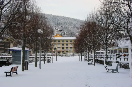 Studio apartment for 2 P - south facing balcony with lake classified  - center