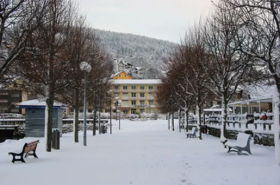 Studio apartment for 2 P - south facing balcony with lake classified  - center