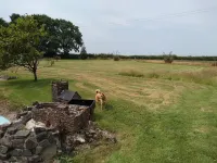 2 Bed 2 Bath Property in North Devon, 9 Acres Pet Friendly, Near to Beach