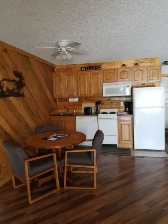 Mountain Resort Studio - 365 day pool, 4 Tubs, Free Parking and Wifi. Sleeps 1-4