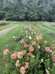Cozy Cottage Escape on 123 acres