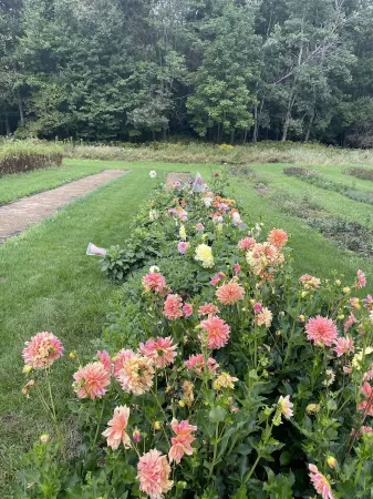 Cozy Cottage Escape on 123 acres