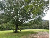 Alice’s Acres Hotels in DeKalb County