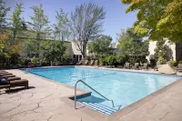 Hilton Seattle Airport & Conference Center - Pools