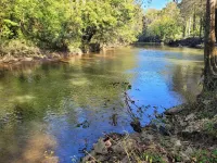Riverside Getaway - Enjoy Quiet Life Right on the Duck River