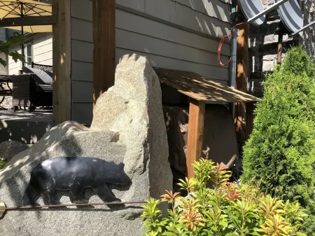 Riverfront! Outdoor Ent, Hot Tub, Views & Pet Friendly. Minutes to Leavenworth!