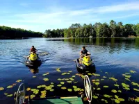 Pineview Cabin at Bayview Cabin Resort on Picturesque Northwoods Lake in Wi.
