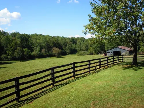 Dale Hollow Cabin Next To State Park With Free Fire Pit & COVERED Boat Slip