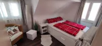 Beautiful, cozy holiday apartment in the heart of the Black Forest Hotels in der Nähe von MEDICLIN Schlüsselbad Klinik